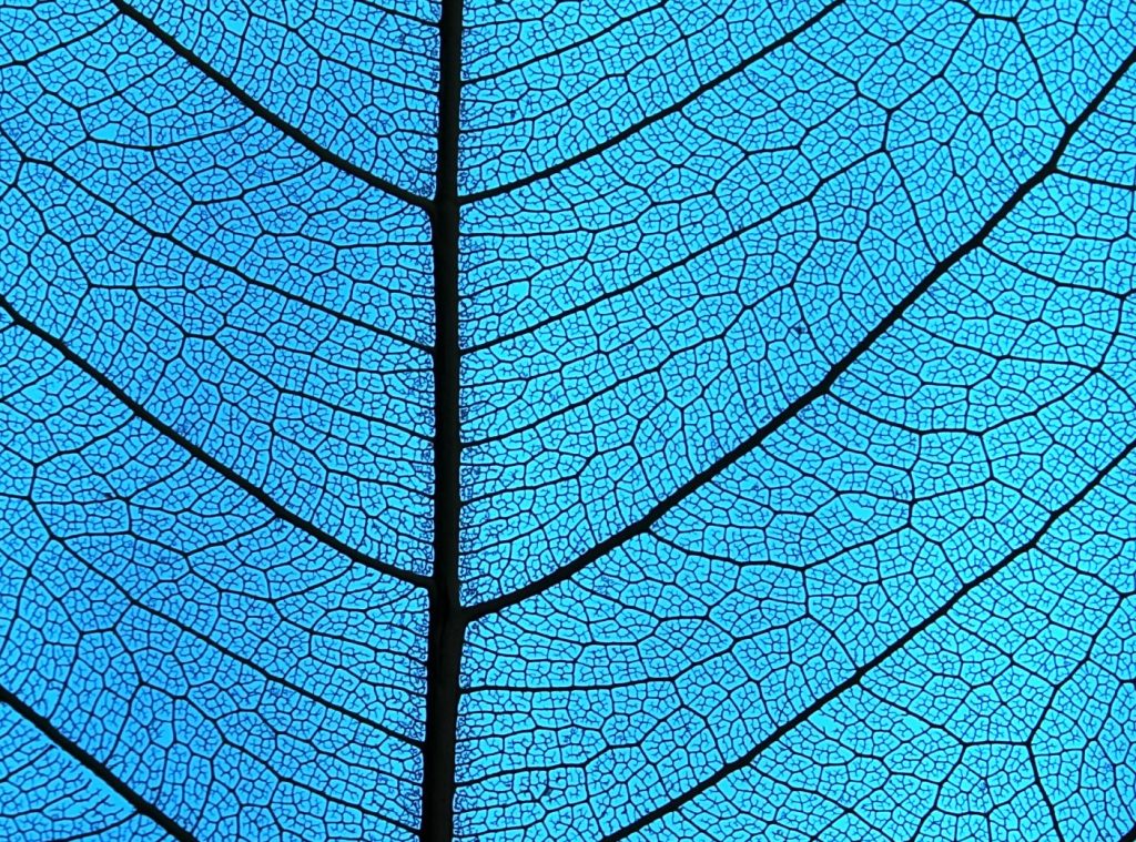 Better understand living organisms and complex gases